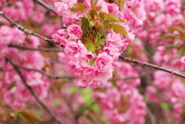 宁波北仑区线下个人借款平台一站式服务，轻松解决资金难题