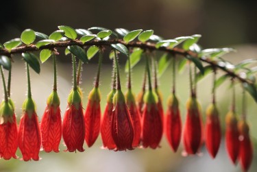 宁波北仑区零用贷短借：轻松解决临时资金需求